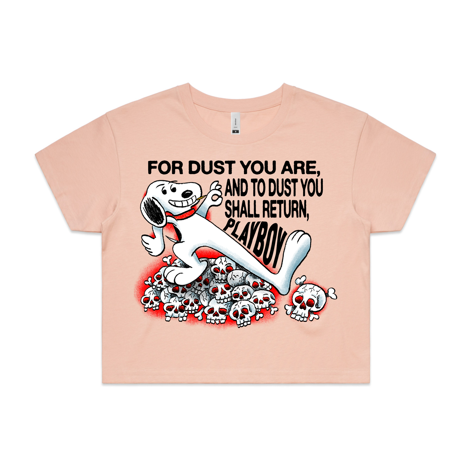 For Dust You Are Crop Top