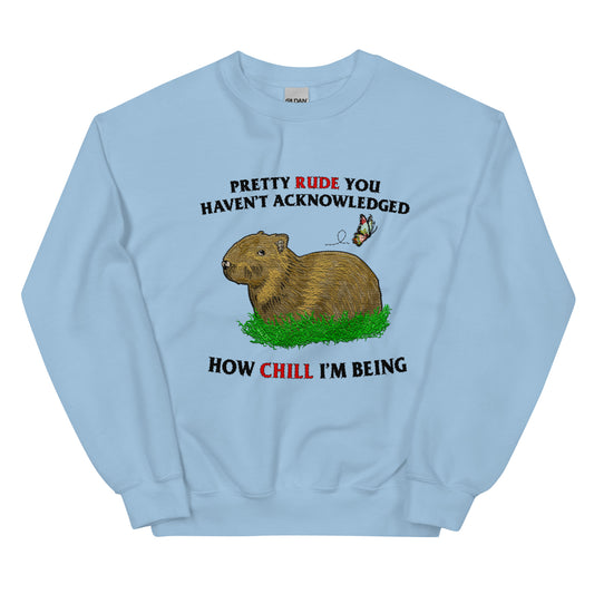 Being So Chill Unisex Sweatshirt (not embroidered)